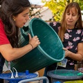 01.10.23-EMMAUS-COMPAGNONS-DENCRE-c-Lilia-Zanetti-30 septembre 2023-27